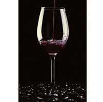 CALICE DI VINO ROSSO